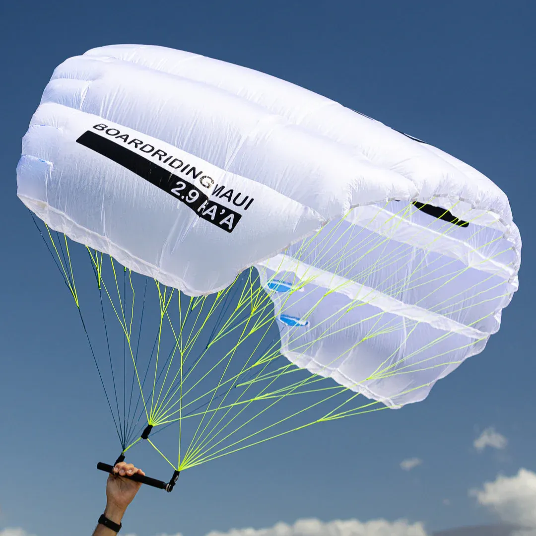 BRM Ka'a parawing canopy displayed against blue sky, showing the bridle line configuration